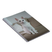 Witte kat | Zazzle_Growshop. Notitieboek (Rechterzijde)