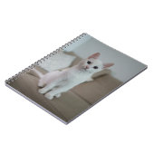 Witte kat | Zazzle_Growshop. Notitieboek (Linkerzijde)