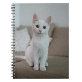 Witte kat | Zazzle_Growshop. Notitieboek