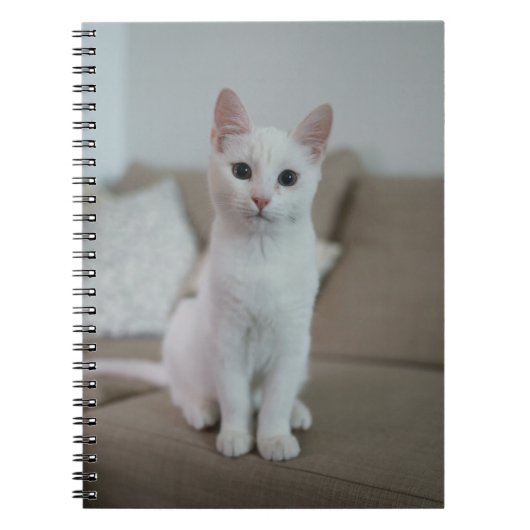 Witte kat | Zazzle_Growshop. Notitieboek (Voorkant)