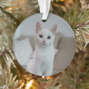 Witte kat   Zazzle_Growshop. Ornament