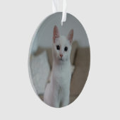 Witte kat | Zazzle_Growshop. Ornament (voorkant)