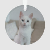 Witte kat | Zazzle_Growshop. Ornament (achterkant)