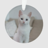 Witte kat | Zazzle_Growshop. Ornament (voorkant)