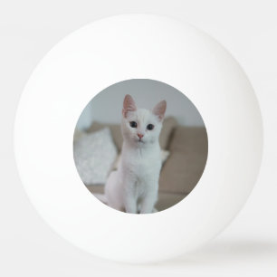 Witte kat   Zazzle_Growshop. Pingpongbal