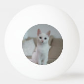 Witte kat | Zazzle_Growshop. Pingpongbal (Achterkant)