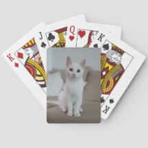 Witte kat | Zazzle_Growshop.