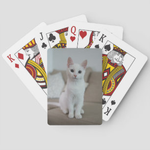 Witte kat Zazzle_Growshop. Pokerkaarten