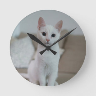 Witte kat Zazzle_Growshop. Ronde Klok