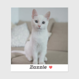 Witte kat | Zazzle_Growshop. Sticker