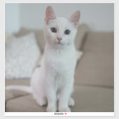Witte kat | Zazzle_Growshop. Sticker (Vel)