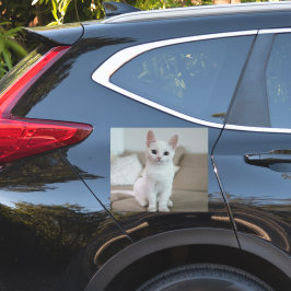 Witte kat | Zazzle_Growshop. Sticker