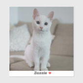 Witte kat | Zazzle_Growshop. Sticker (Vel)
