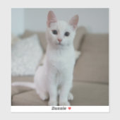 Witte kat | Zazzle_Growshop. Sticker (Vel)