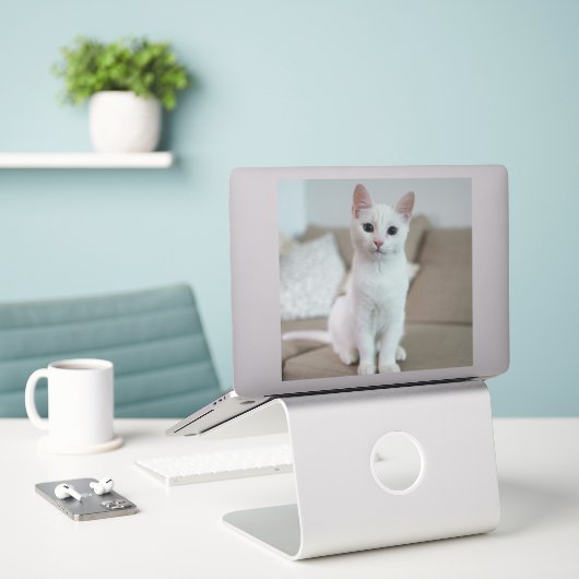 Witte kat | Zazzle_Growshop. Sticker (Laptop op bureau)