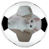 Witte kat | Zazzle_Growshop. Voetbal (Gedraaid)
