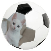Witte kat | Zazzle_Growshop. Voetbal (Drie kwart)