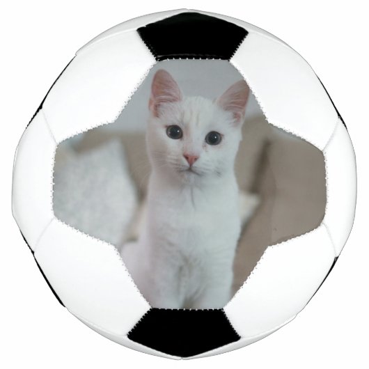 Witte kat | Zazzle_Growshop. Voetbal (Voorkant)