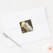 Witte kat zit in warme lamp vierkante sticker (Envelop)