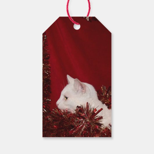 Witte katje kerst cadeaulabel (Achterkant)