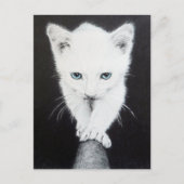 Witte katjes Teken Briefkaart (Voorkant)