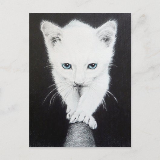 Witte katjes Teken Briefkaart (Voorkant)