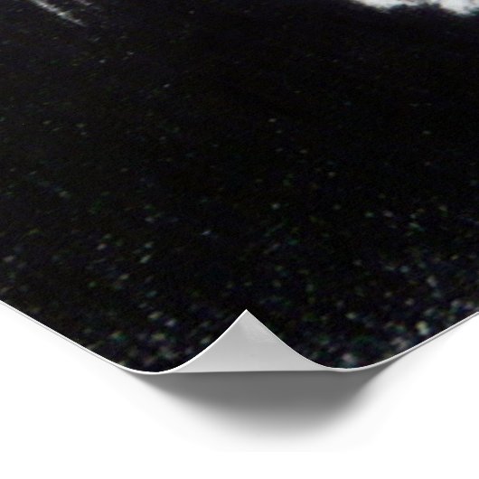 Witte katjes Teken Poster (Hoek)