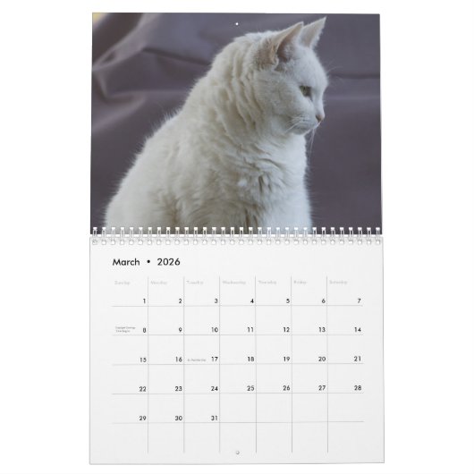 Witte katten 2021 kalender (Mar 2026)