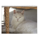 Witte katten 2021 kalender (Hoes)