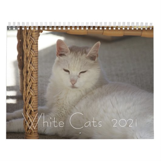Witte katten 2021 kalender (Hoes)