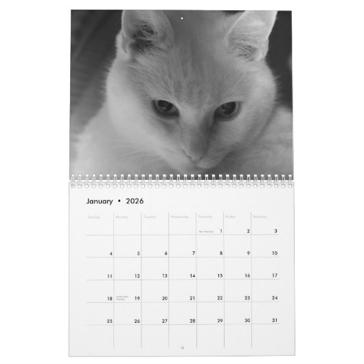 Witte katten 2021 kalender (Jan 2026)