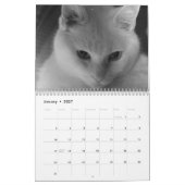 Witte katten 2021 kalender (Jan 2027)