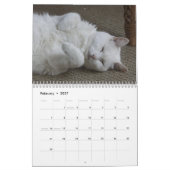 Witte katten 2021 kalender (Feb 2027)