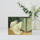 Witte katten die Goldfish bekijken Briefkaart (Staand voorkant)