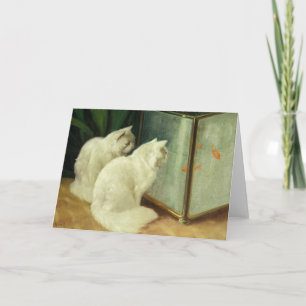 Witte katten die Goldfish bekijken Kaart