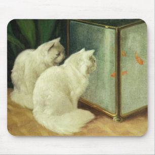 Witte katten die Goldfish bekijken Muismat
