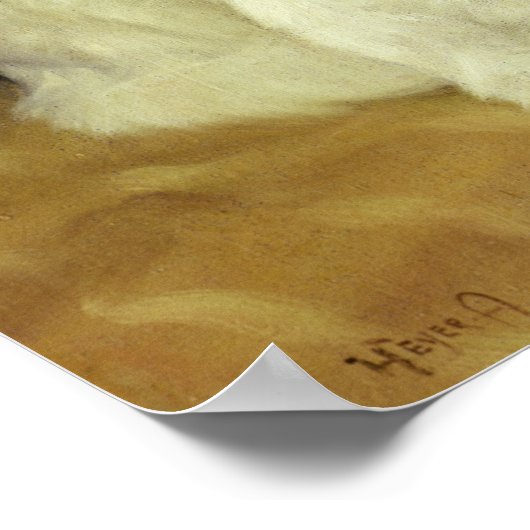 Witte katten die Goldfish bekijken Poster (Hoek)