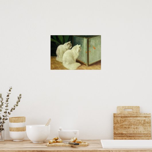 Witte katten die Goldfish bekijken Poster (Keuken)