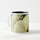 Witte katten die Goldfish bekijken Tweekleurige Koffiemok (Voorkant links)