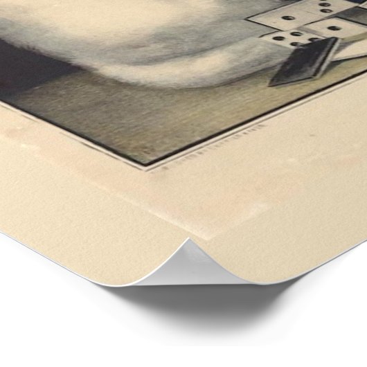 Witte katten en Dominosen Poster (Hoek)