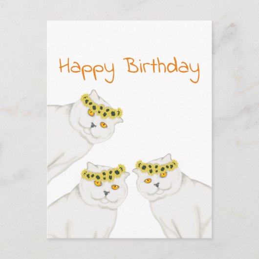 Witte katten Happy Birthday Briefkaart (Voorkant)