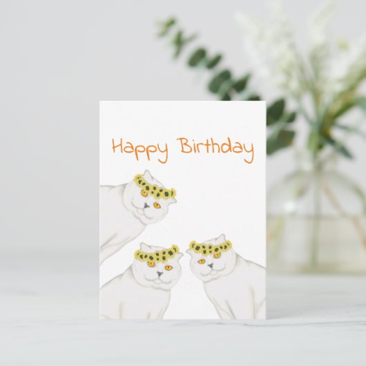 Witte katten Happy Birthday Briefkaart (Staand voorkant)