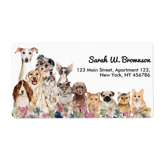 Witte Katten Honden Huisdier Dierenarts Etiket (Voorkant)