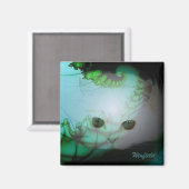 Witte Katten magneet (Voorkant / Achterkant)