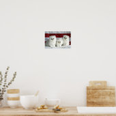 Witte katten poster (Keuken)