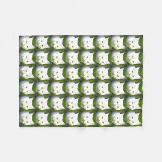 witte katten Thunder_Cove Fleece Deken (Voorkant (Horizontaal))