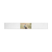 Witte keelaar (Individueel)