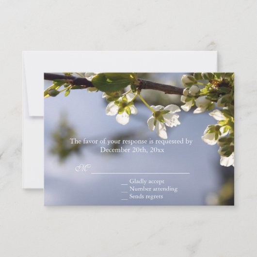 Witte kersen bloeiend RSVP bruiloft (Voorkant)
