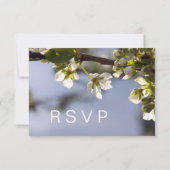 Witte kersen bloeiend RSVP bruiloft (Achterkant)