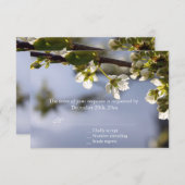Witte kersen bloeiend RSVP bruiloft (Voorkant / Achterkant)